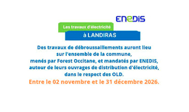 Débroussaillements Enedis