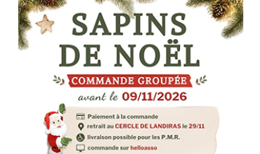 SAPINS DE NOËL | COMMANDE GROUPÉE